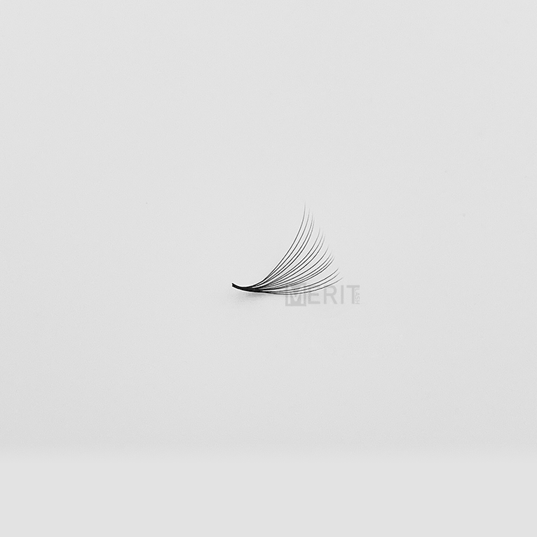 Narrow-Fan-Premade-Fan-14D-(1-fan) (1) Narrow-Fan-Premade-Fan-14D-(1-fan) (1)