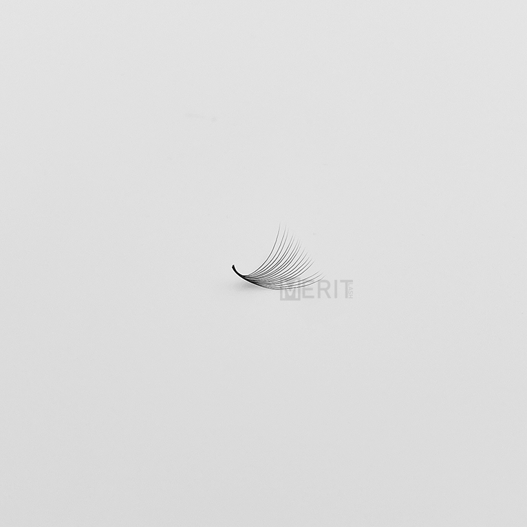 Premade-Fan-16D-(1-fan) (1) Premade-Fan-16D-(1-fan) (1)