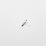 Wispy-Fan—7D (1)