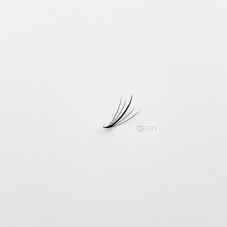 Wispy-Fan---5D-(chụp-1-fan) (1) Wispy-Fan---5D-(chụp-1-fan) (1)