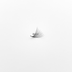 Wide-Fan-Premade-fan-8D-(1-Fan)