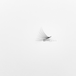 Wide-Fan-Premade-fan-8D-(1-Fan)