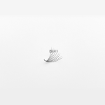Wide-Fan-Premade-fan-8D-(1-Fan)