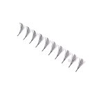 Feather Laser Lash (Anime Lash)
