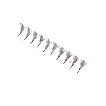 Feather Lash (Anime Lash)