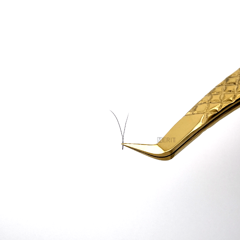 Foxy Lashes Foxy Lashes
