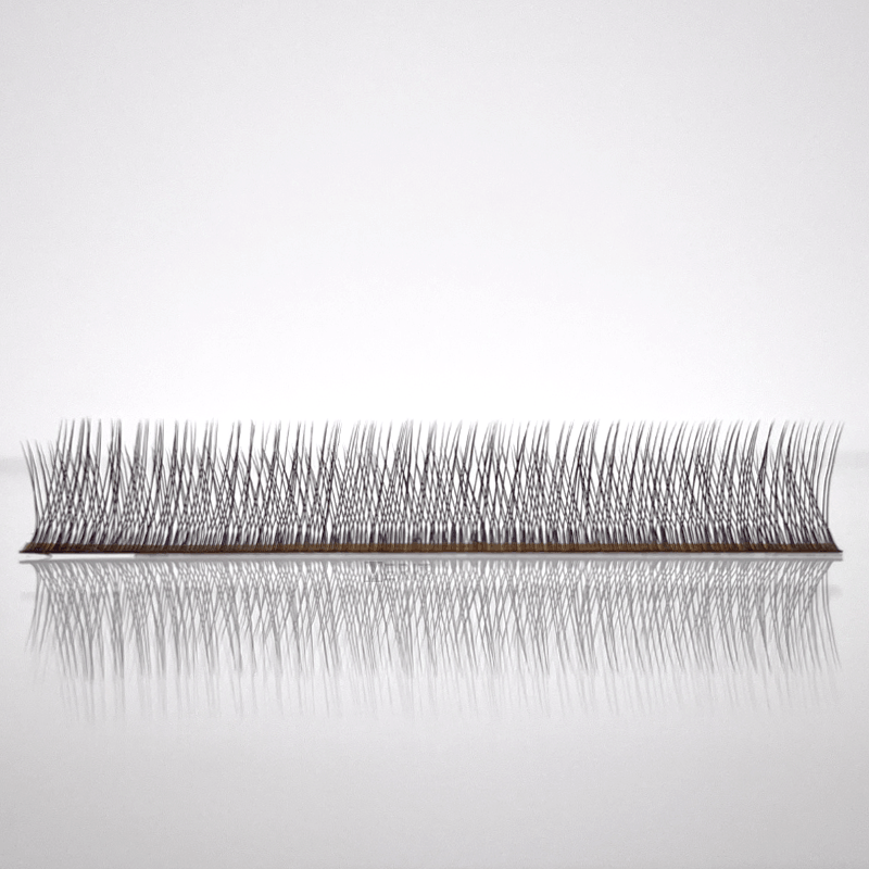 Foxy Lashes Foxy Lashes