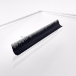 Mink Eyelash Extensions