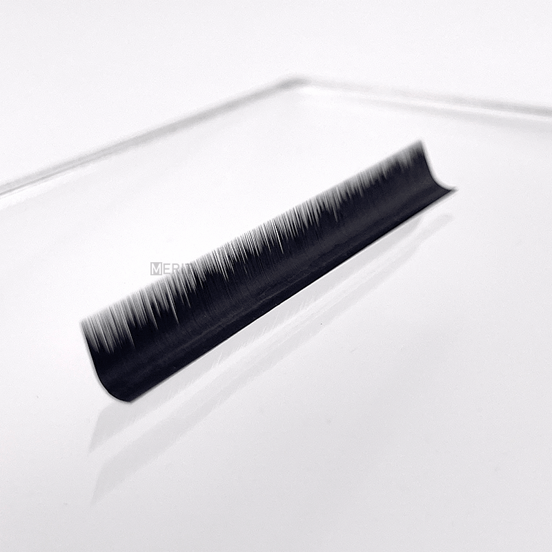 Silk Lashes Silk Lashes