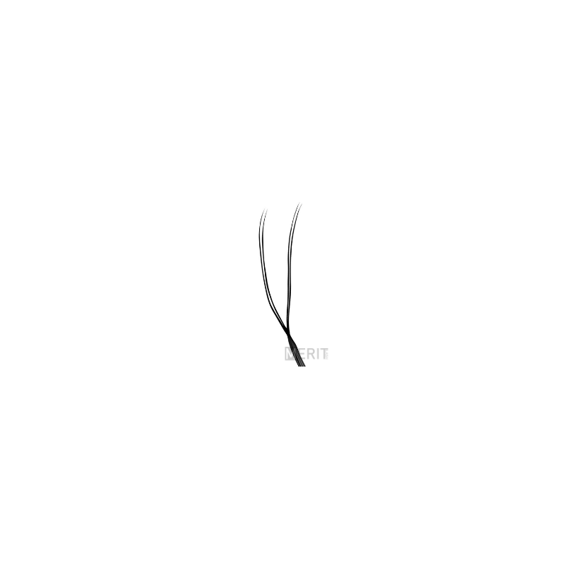 U Lashes U Lashes